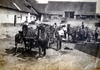 Aphotograph of the Hrdlička family farm in the past
