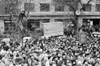 Utorok 21. novembra 1989: Študenti viacerých bratislavských vysokých škôl na mítingu na Hviezdoslavovom námestí – pre lepšie výhľad študenti obsadili aj koruny stromov.