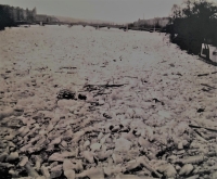 Flood on the Vltava in March 1940