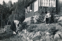 Cottage in 1952