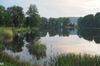 A pond in the castle park in Lipová