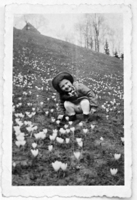 Christa in the crocus meadow