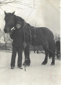 Josef Bock, a brother of the witness, during the school ski races in 1951. He was driving the teachers on a horse-drawn sleigh.
