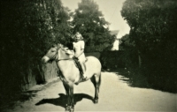 Marie on Jiskra - Převalský's horse afterthe Soviets; Straky, 1948