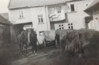The family homestead in Kurovice. The picture was taken in the 1950s 