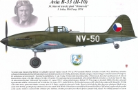 Fighter IL10-B33