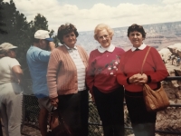 navšteva sesternice v USA v roku 1995