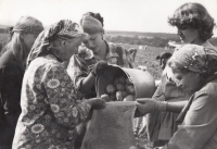 Family members during potato harvest