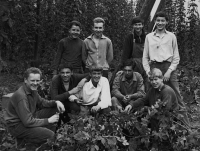 Mewes – hops picking in 1965
