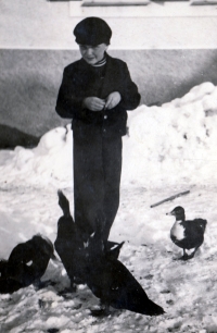 Karel Pexidr na Vícově 1939