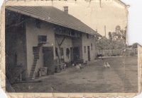 Farm buildings at the family estate of Josef Hrdý, Horní Ředice, 1950's