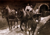 Manžel Marie Veselé s vlastními koňmi, na které byl velmi pyšný