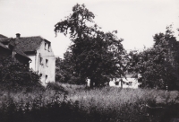 The house to which the Hanauer family was forcibly moved in 1953 (at the back). Photographed at a time when the Hanauer family had already moved back to Vysočina.