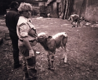 From the UNPROFOR mission in Bosnia, 1995