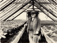 Grandfather Stanislav Poledno in his own vegetable glasshouse. 1953