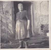 Mrs. Stuchlíková who lived on a farm in Cetule, 1951 