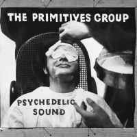 The Primitives Group poster