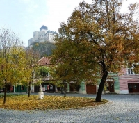 Linden tree on Mierove namestie in Trencin, a message to future generations is hidden in its roots. The tree was planted on October 30, 1968, with a reference to A. Dubcek's legacy