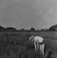 Jarmila Valouchová (Pospíšilová) while tearing flax in the settlement of Na Horách