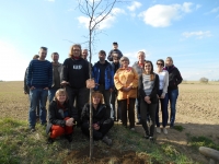 With the members of the 'On the Good Paths Club', the annual lime tree planting, Earth Day, near Strmilov, 2015 