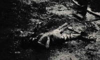 Jedna z obětí výbuchu ruské cisterny v Desné v Jizerských horách, který nastal 21. srpna 1968 kolem poledne