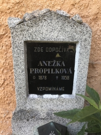 Gravestone of Mrs. Propílková from Noviny České, Evžen Švihlík's grandmother, in Mezirolí in the Karlovy Vary region.