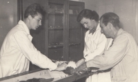 Na lékařské fakultě v Praze, 1955