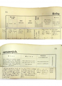 Birth record in the register in 1919