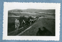 The camp of the renewed 7th Division of Catholic Scouts, summer 1945, Šumava
