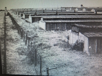 Photo of a concentration camp, Majdanek.


