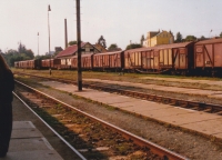 Tachovské nádraží; vlak čeká na stejné koleji, kde dříve stávaly transporty