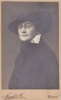 Anna Ustyanovičová née Štursová, Vienna around 1916