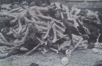 Fotografie z Dachau I.
