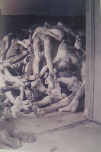 Photos from Dachau III.