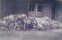 Fotografie z Dachau IV.