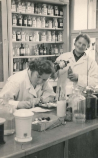 After the burgher Anna Pešatová was not allowed to continue her studies (religious family, brother and uncle were priests, other brothers at PTP), so from 1952 she started working in a pharmacy as a laboratory assistant