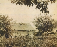 The cottage of the witness’s grandmother Marie Rudolfová (Malovaná-Výhoda, Volhynia)