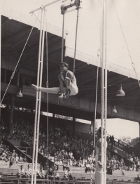 Při cvičení na kruzích, na nichž získal na olympiádě v Londýně 1948 bronzovou medaili