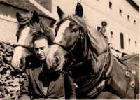 Leoš Poláček, Petr's dad, at work at the rented estate in Šibice. 1936