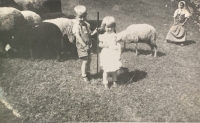 Vlasta with his brother Zdenko grazing sheep in Trstena