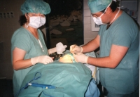 Blanka Dvořáčková assisting during a surgery