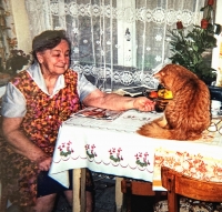Milada Mayerová ve své kuchyni, 90. léta 20. století