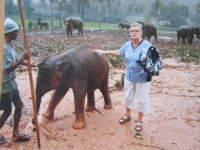 Bohumíra Matulíková traveling in an elephant orphanage in Sri Lanka
