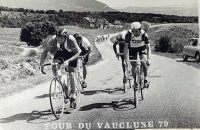 Tour de Vaucluse in the year 1979 - 2