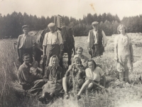 Před koněm otec Rudolf Kotík a po jeho levici dědeček František během prací na poli