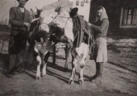 Jaroslav a Vlasta Lavička at their farm 
