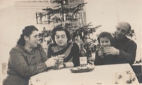 Christmas at Vrchová, from the left mother: Margit, her sister Marta, her father, 1952