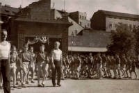 Nácvik na XI. všesokolský slet 1948