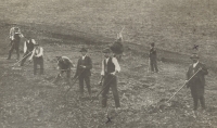 Práce na poli, přelom 19. a 20. století, vepředu Jan Špičák