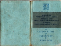 His mother's passport - Protectorate